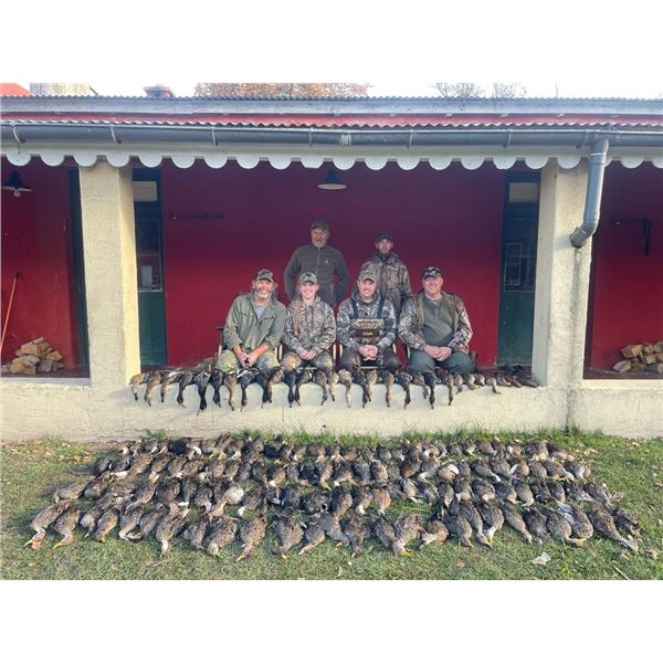 Argentina – 3 Day – All Inclusive Duck Hunt for Four Hunters
