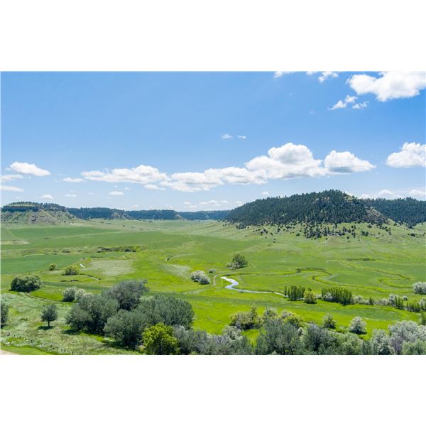 Montana Pheasant Hunt & amp; Lodging