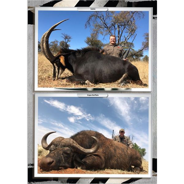 7 Day Roan or Sable Bull Hunt