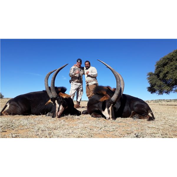 7-Day Hunt for 3 Hunters