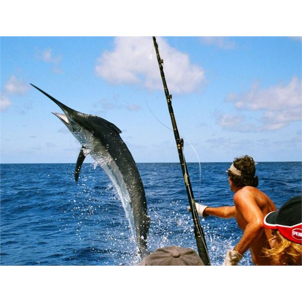 Los Cabos Sport Fishing