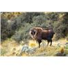 Image 6 : NEW ZEALAND TAHR HUNT
