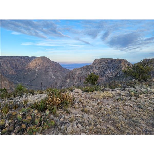 SEE WHERE YOUR MONEY IS BEING SPENT! (IN-HOUSE ONLY) NO ONLINE BIDDING