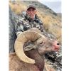 Image 2 : UTAH CALIFORNIA BIGHORN SHEEP PERMIT