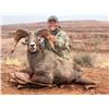 Image 4 : UTAH CALIFORNIA BIGHORN SHEEP PERMIT