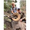 Image 5 : UTAH CALIFORNIA BIGHORN SHEEP PERMIT