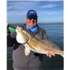 Image 5 : GALVESTON TEXAS FISHING TRIP FOR 4