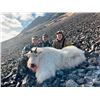 Image 10 : ALASKA MOUNTAIN GOAT HUNT