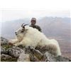 Image 4 : ALASKA MOUNTAIN GOAT HUNT
