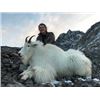 Image 7 : ALASKA MOUNTAIN GOAT HUNT