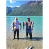 Image 6 : KENAI FISHING TRIP FOR 2