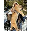 Image 2 : WYOMING MOUNTAIN LION HUNT