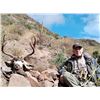 Image 2 : BAJA BLACKTAIL HUNT FOR 4 HUNTERS