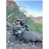 Image 4 : BAJA BLACKTAIL HUNT FOR 4 HUNTERS