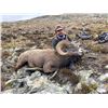 Image 1 : ALBERTA ROCKY MOUNTAIN BIGHORN HUNT