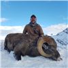 Image 4 : ALBERTA ROCKY MOUNTAIN BIGHORN HUNT