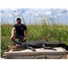 Image 1 : LOUISIANA ALLIGATOR HUNT