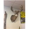 Image 4 : IOWA NON-RESIDENT WHITETAIL TAG