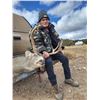 Image 4 : “TAKE A VET HUNTING” TEXAS MULE DEER (IN-HOUSE ONLY) NO ONLINE BIDDING