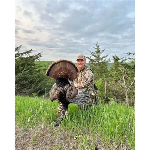 3-DAY MINNESOTA TURKEY HUNT FOR ONE HUNTER