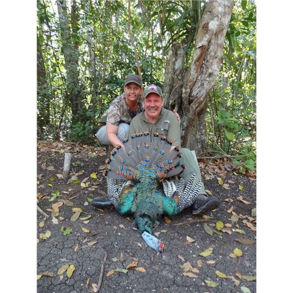 Mexico  Ocellated Turkey Hunt