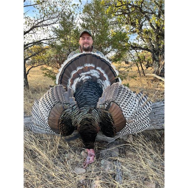 Mexico Gould’s Turkey Hunt