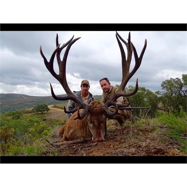 Spain Red Stag Hunt