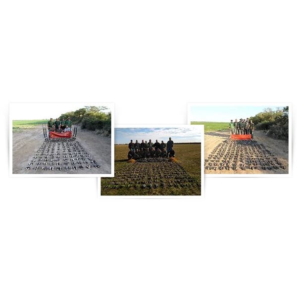 Argentina Bird Hunt – Dove Hunt