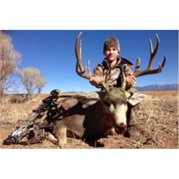 Arizona Mule Deer Hunt