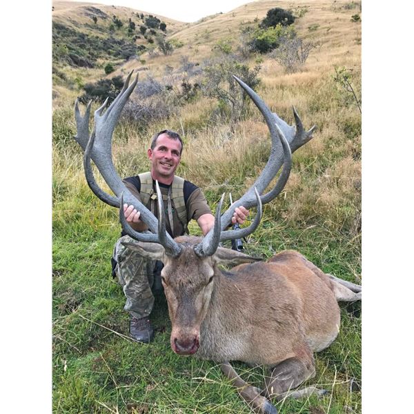 New Zealand Red Stag Hunt
