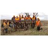 Image 3 : South Dakota Upland Pheasant Hunt - 2 Hunters