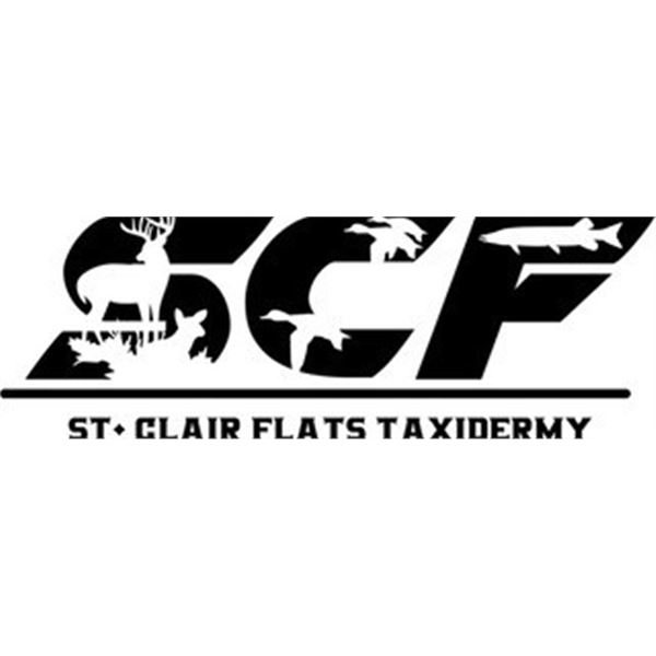 $500 Taxidermy Gift Certificate