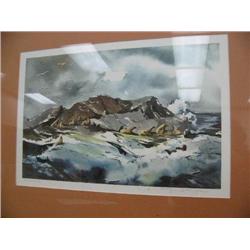 Sea lion Beach by Nancy Taylor Stonington