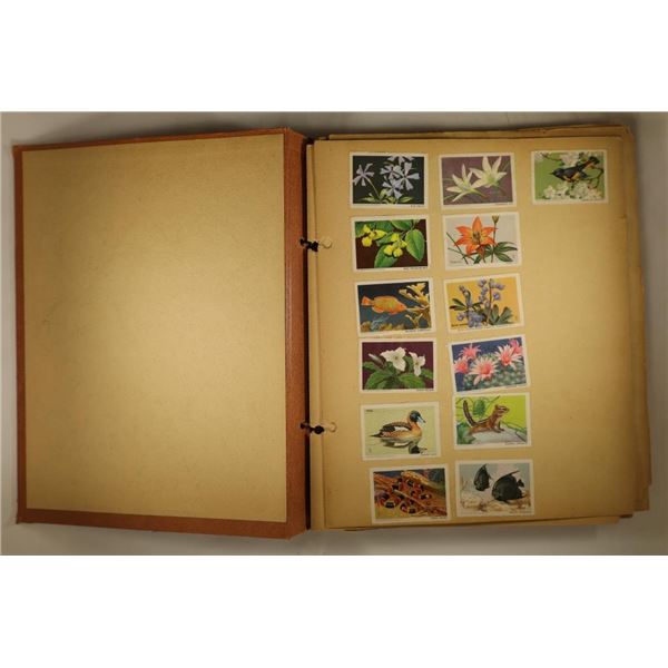 VINTAGE SCRAP BOOK WITH 103 WILDLIFE STAMPS AND