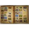 Image 3 : VINTAGE SCRAP BOOK WITH 103 WILDLIFE STAMPS AND