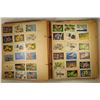 Image 4 : VINTAGE SCRAP BOOK WITH 103 WILDLIFE STAMPS AND