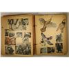 Image 5 : VINTAGE SCRAP BOOK WITH 103 WILDLIFE STAMPS AND