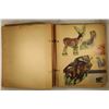 Image 6 : VINTAGE SCRAP BOOK WITH 103 WILDLIFE STAMPS AND