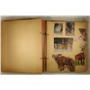 Image 9 : VINTAGE SCRAP BOOK WITH 103 WILDLIFE STAMPS AND
