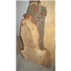 Image 2 : 2 WOOD BURL PIECES, 1-4 1/4, 1-3'