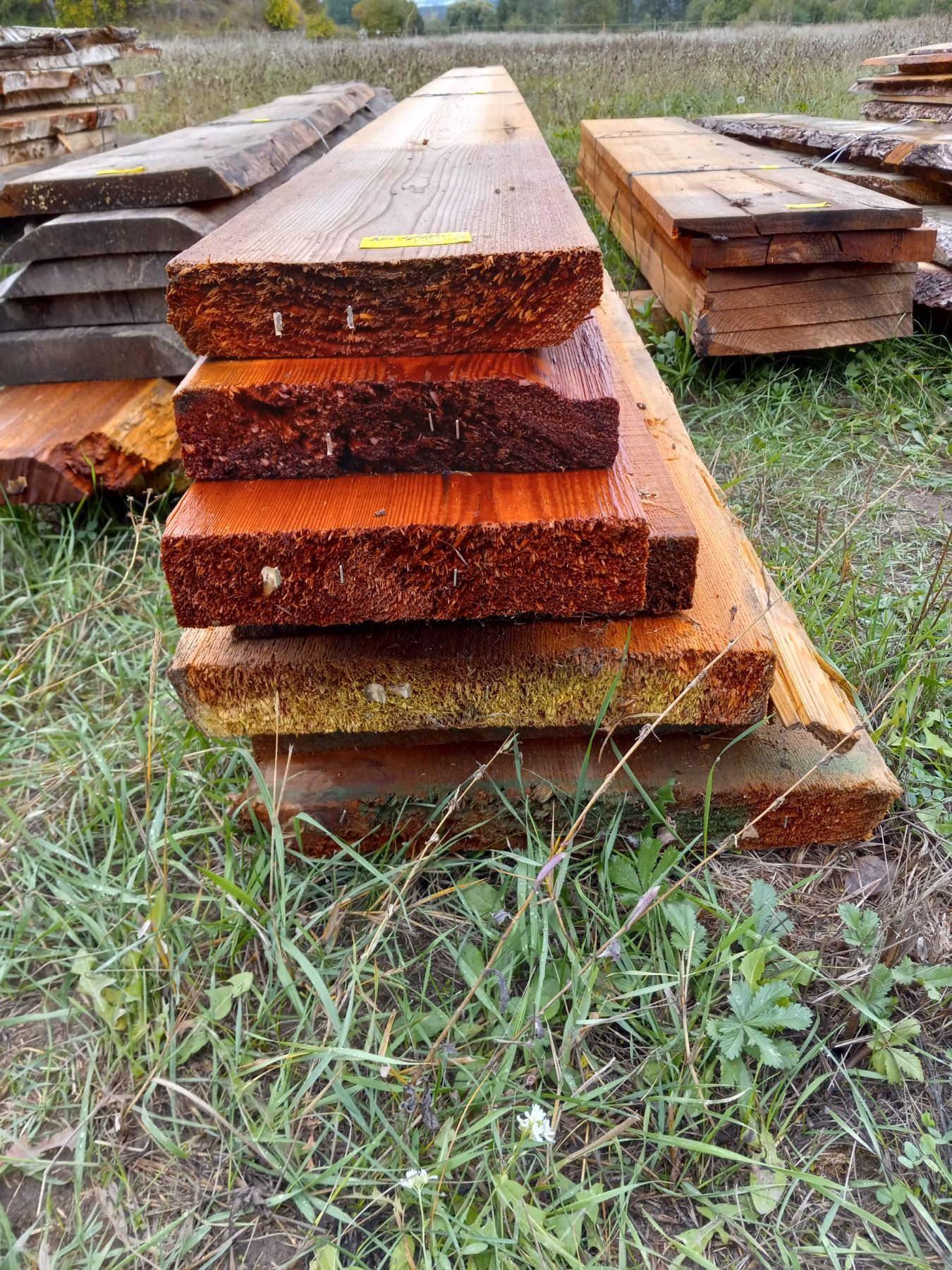 Timber Rough Edge BUNDLE OF ROUGH CUT LUMBER, LIVE EDGE, ETC.