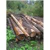 Image 2 : PILE OF LOGS, VARIOUS SIZE/LENGTH