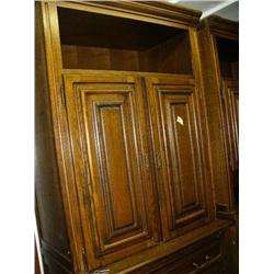 Bookcase (matches S Shrunk) (35)