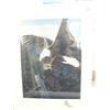 Image 1 : Print of Bald Eagle by Kremen 42/950,and 3 KHR Posters and 1 Calendar  (71)