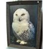 Image 1 : Lot of 3 Prints: Wolf in Barn wood frame, Snowy Owl in Wood Frame, Robert Bateman Poster of an Eagle