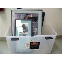 6 Framed Pictures and 3 Prints (49)