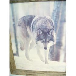 Lot of 2 prints: wolf & signed & numbered print by Ted Heller (39)