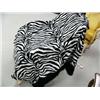 Image 3 : Zebra Pottery and Zebra Blanket (1)