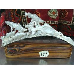 6 Fish Swimming Carved in Antler on Wood Base (33)