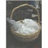 Image 4 : Huge Basket with wicker Easter bunny (1)
